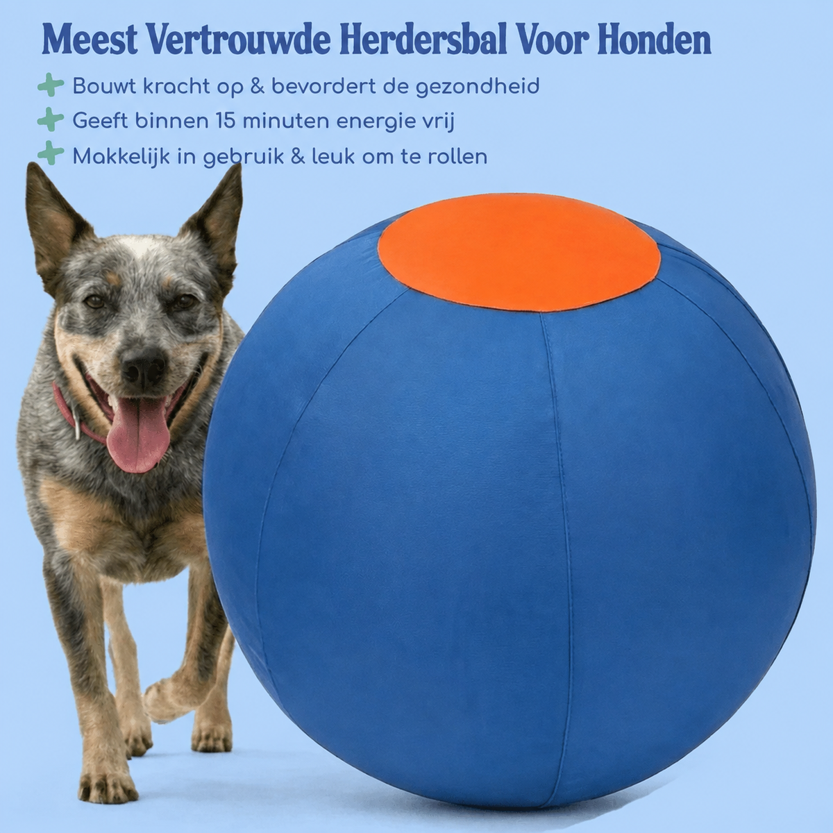 Luperzo Herdersbal