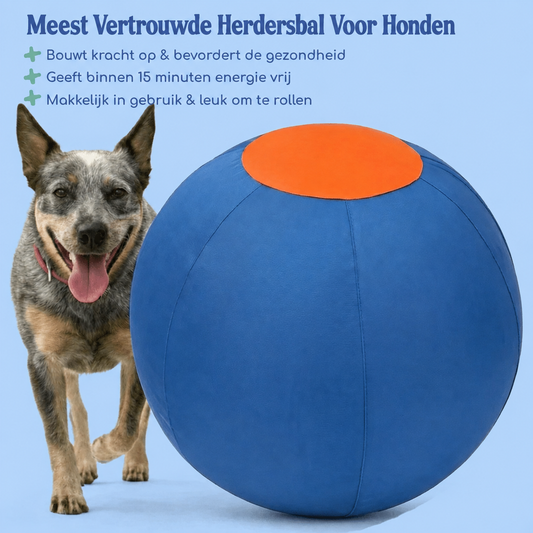 Luperzo Herdersbal
